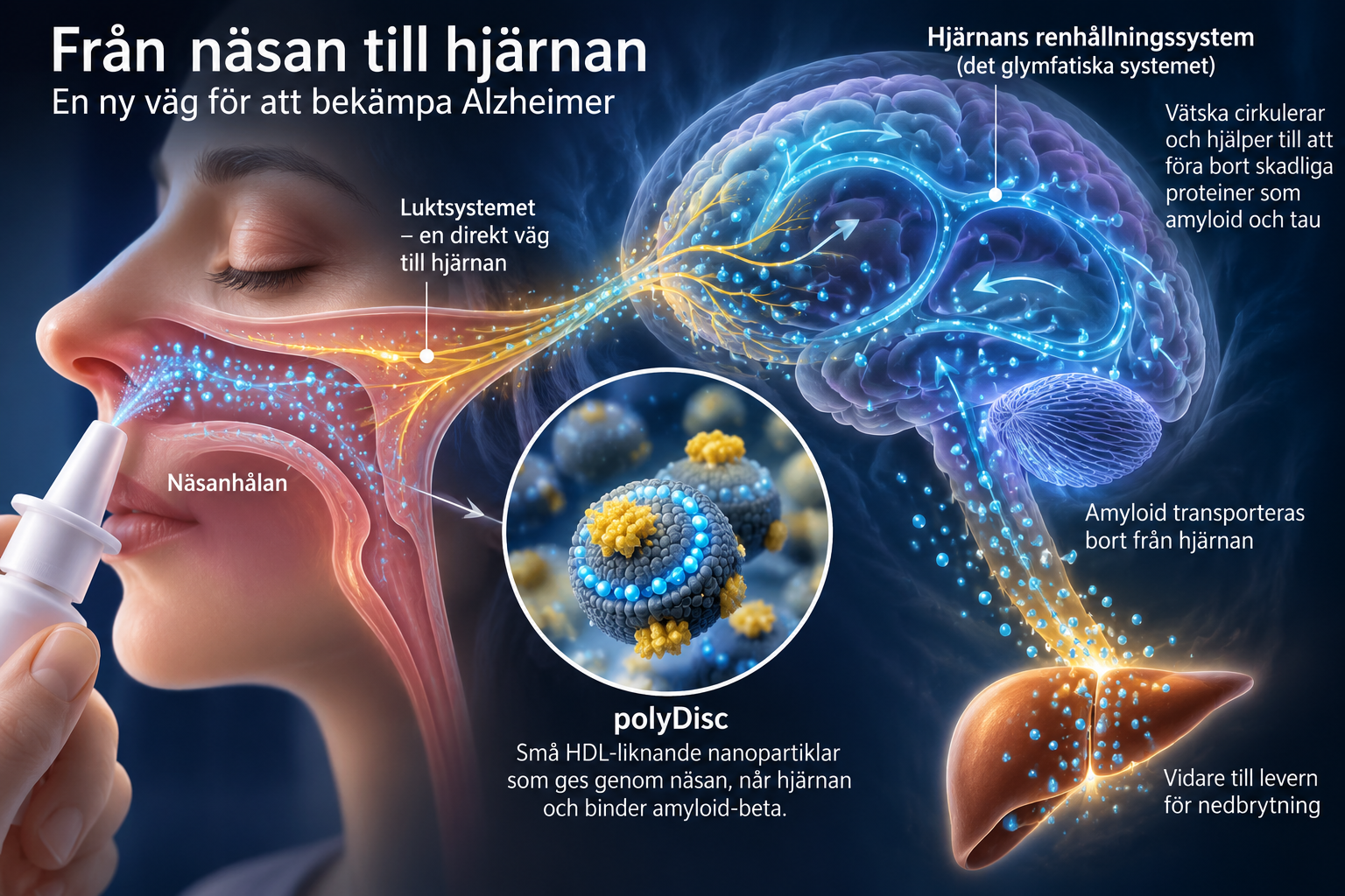 The Nose, Revisited – From a Possible Entry Point for Alzheimer's to a Pathway for Treatment