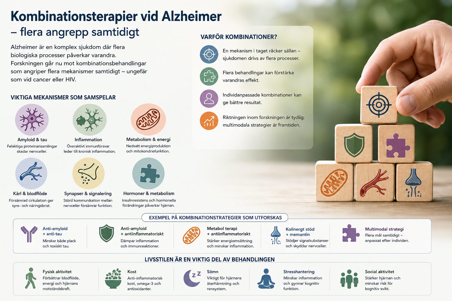 Bild längst ner i artikeln Alzheimerforskningen byter riktning – mot kombinationsbehandlingar